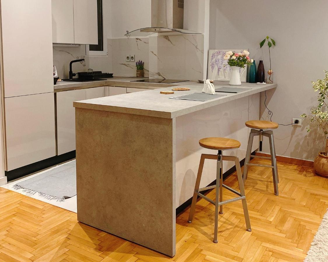 Cozy Newly Renovated 1 Bedroom Apartment In The Heart Of 雅典 外观 照片
